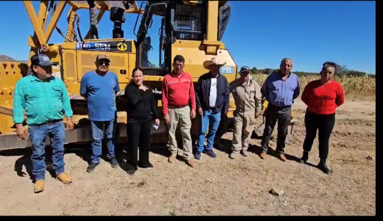 WhatsApp Image 2024-11-06 at 14.42.50