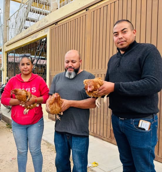 594058551_122216412050550878_593311977501185691_n