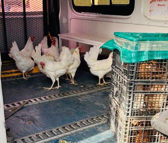 594970595_122216415092550878_5958363098592372010_n