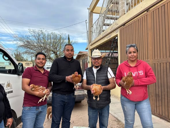 595068476_122216412032550878_1183679417934528405_n