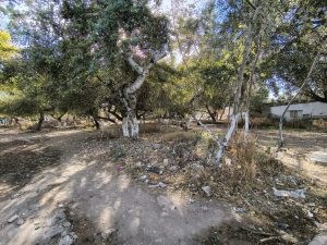 619342645_122201344400537929_8067340525019701327_n